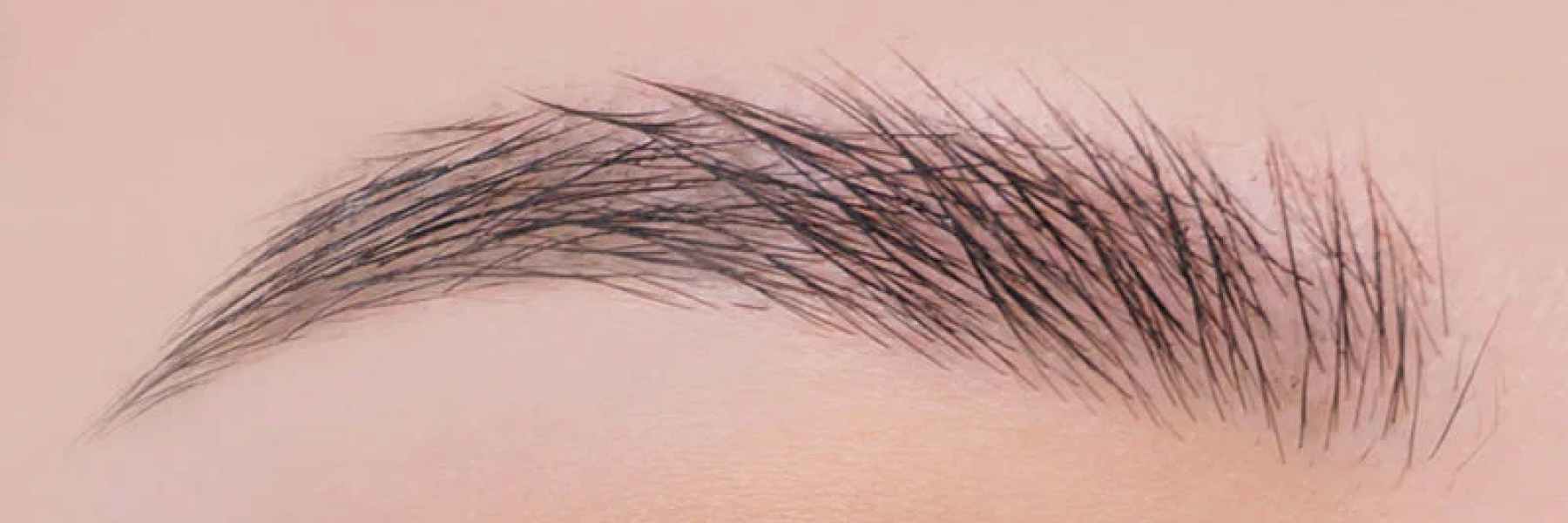 Eyebrow Fixer